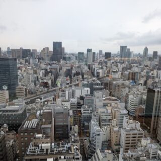 everything the light touches...