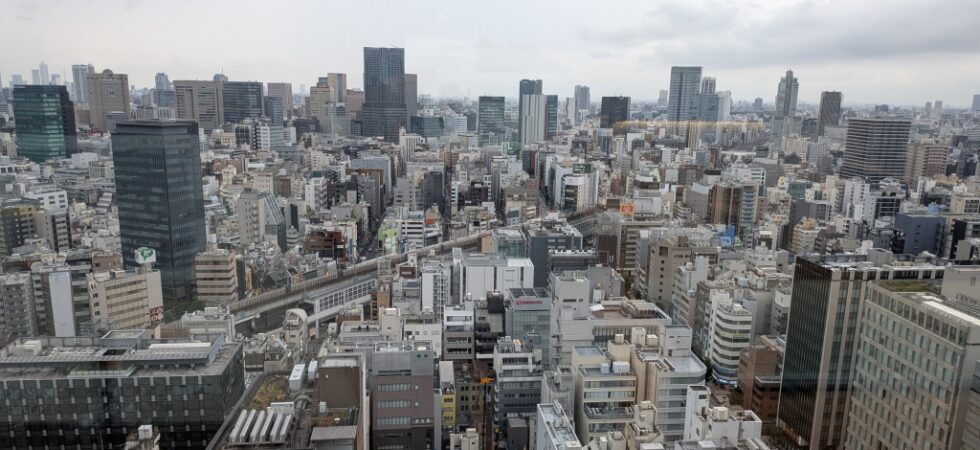 everything the light touches...